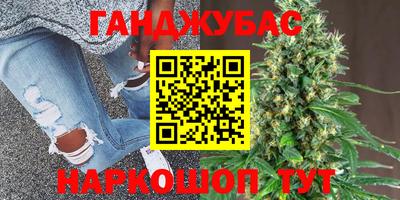 стаф Краснодар