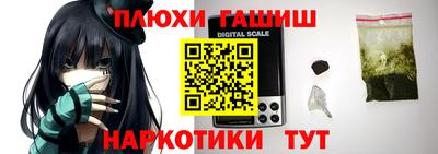 стаф Краснодар