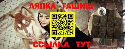 стаф Краснодар