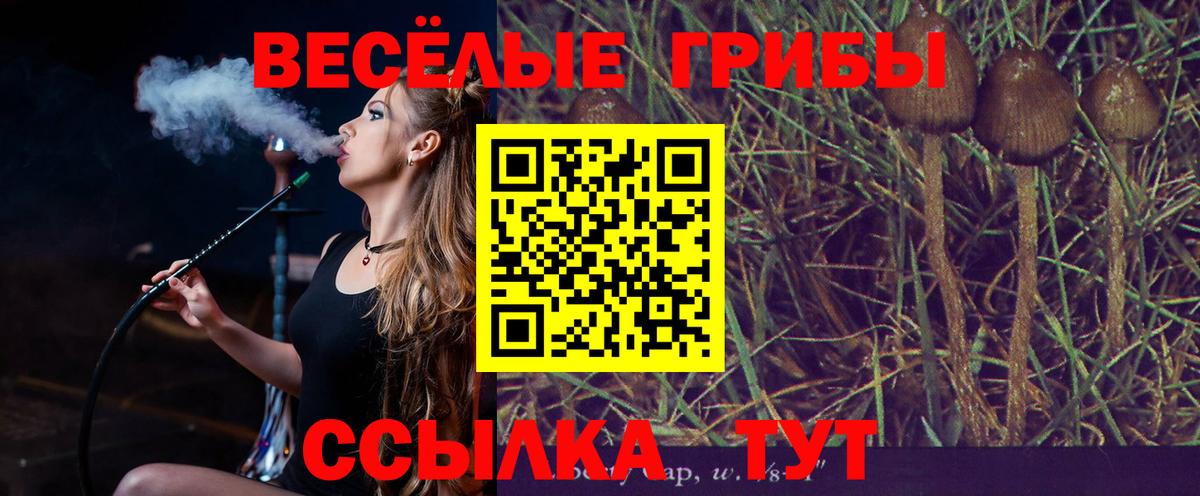 Галлюциногенные грибы Magic Shrooms  Вход с VPN  как найти закладки  Котлас  Псилоцибиновые грибы Magic Shrooms 