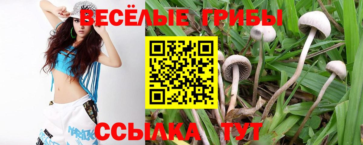 Галлюциногенные грибы Magic Shrooms Котлас